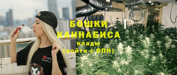 спайс Пестово
