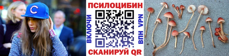 Галлюциногенные грибы GOLDEN TEACHER  купить наркотик  Монино 